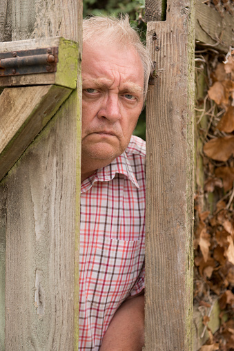 Vertical image of a mature man spying round a wooden door in the garden