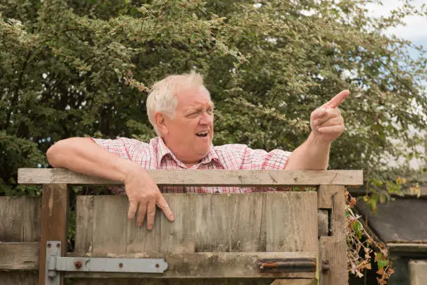 Mature man shouting and pointing over a fence in the garden