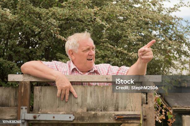 Mature Man Shouting And Pointing Over A Fence - Fotografias de stock e mais imagens de Vizinho - Vizinho, Discutir, Cerca