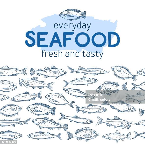 Seamleess 国境の魚 - 魚のベクターアート素材や画像を多数ご用意 - 魚, イラストレーション, 描く