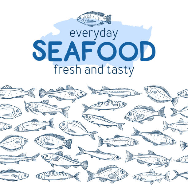 Seamleess border fish. Seamleess border hand drawn fish. Seafood background with bream, mackerel, tunny or sterlet, codfish and halibut. Outline icon tilapia, sardine, anchovy, sea bass and dorado. Retro engraving style. fish drawings stock illustrations