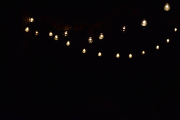 Electric String Lights Bulbs Glowing in the Night