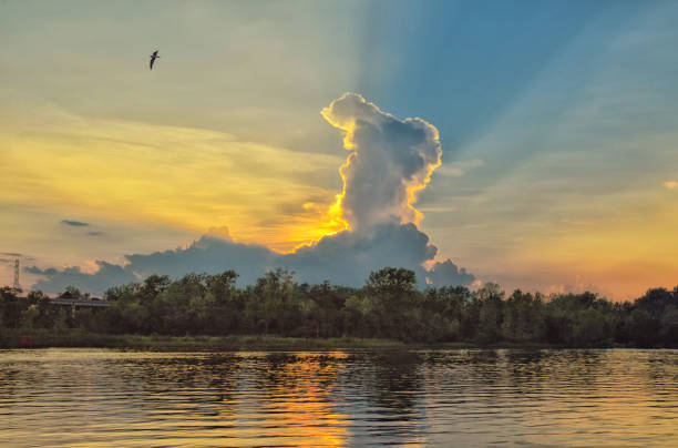 coucher de soleil derrière la formation de gros nuages - cape fear photos et images de collection