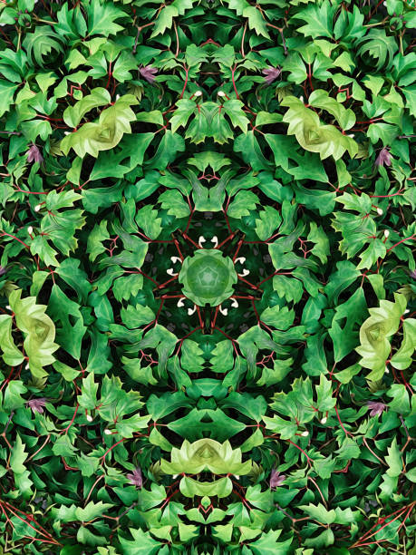 Kaleidoscopic oil paint leaf background Kaleidoscopic oil painted background kaleidoscope pattern photos stock pictures, royalty-free photos & images
