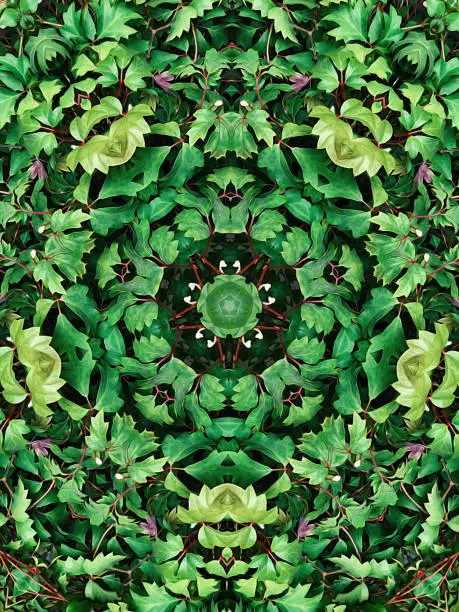 Kaleidoscopic oil painted background