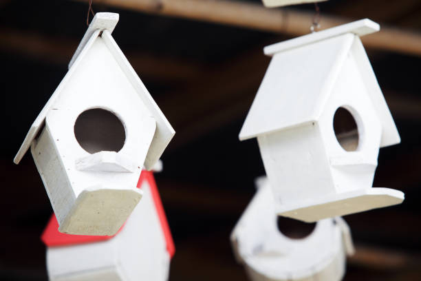istock hanging small wooden bird house 1014876936