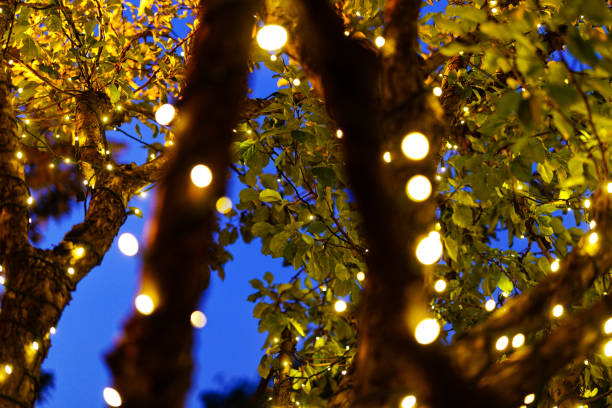 istock Night Lights and Out of Focus Balls 1014883486