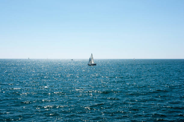 istock Venice beach in Los Angeles, CA, USA 1014883678