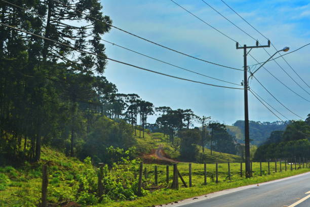 istock Santa Catarina Rural Landscape 1014887722