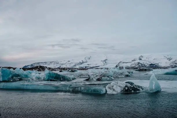 Some Icebergs in Jökulsárlón glacier lagoon in Iceland