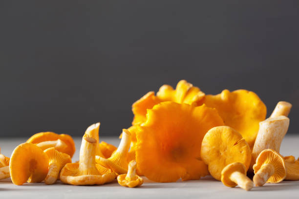 istock raw fresh chanterelle mushrooms on gray background 1014891680