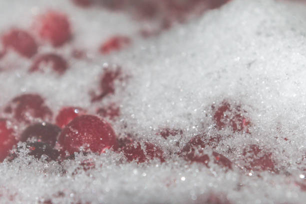 istock Cold frozen red berry cranberries on the table 1014894574