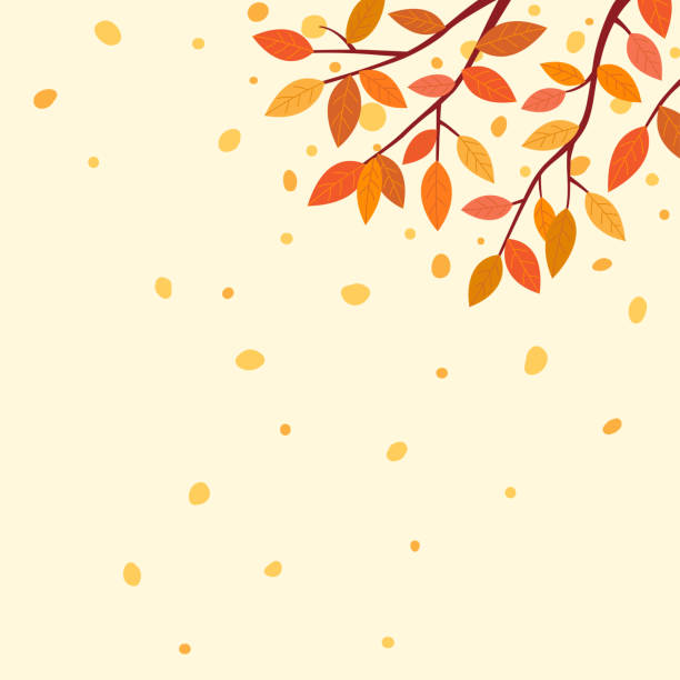 Autumn leaves background Autumn,nature,tree,falling,outdoor,scene, leaves,design,wallpaper,template, background korea autumn stock illustrations
