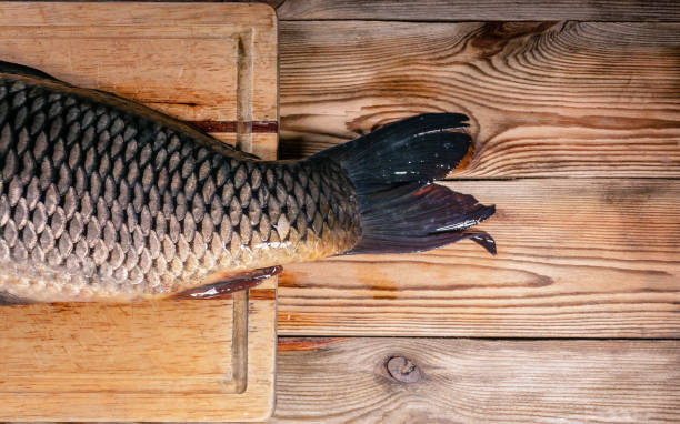 istock Tail big carp on a cutting board on a wooden table. Fresh fish. Close-up 1014897296
