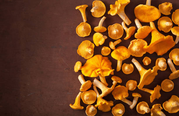 istock raw fresh chanterelle mushrooms flat lay on dark background 1014902720