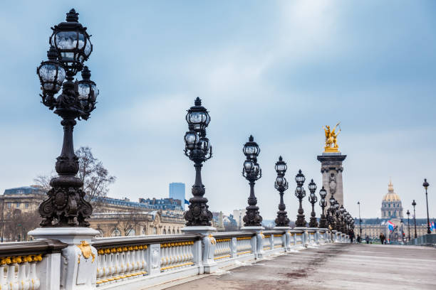 il pont alexandre iii in una gelida giornata invernale a parigi - architectural styles animal horse europe foto e immagini stock