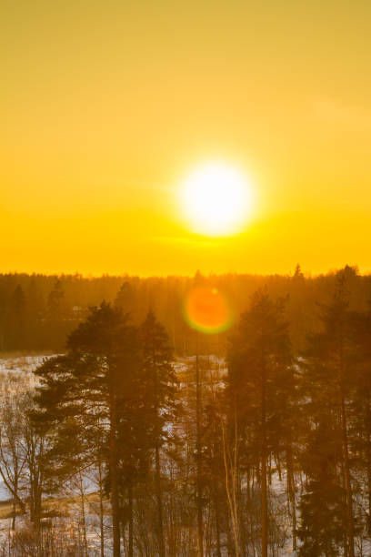 istock Bright beautiful sunset over the winter forest in early spring 1014903288
