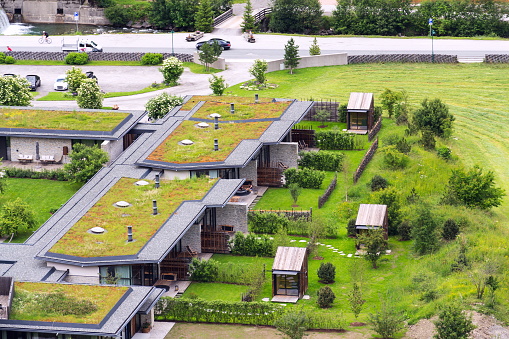 Vista aérea de verde extensa vida cubiertas de césped cubiertos de vegetación photo