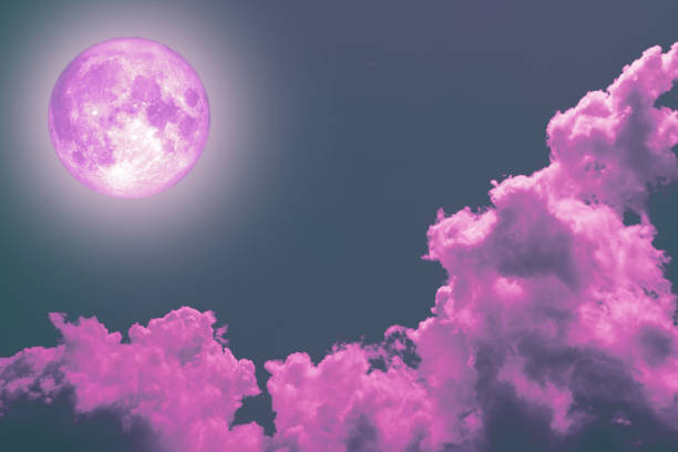 istock super full pink moon back silhouette colorful magenta sky 1014903758
