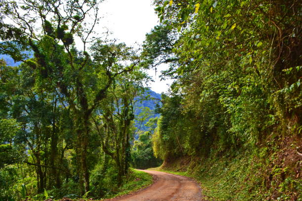 istock Santa Catarina Rural Landscape 1014909158