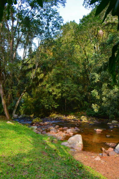 Beautiful countryside, in the midst of nature with lots of trees, mountains and rivers. Photo made in Rio Natal Town, São Bento do Sul, Santa Catarina on 07/28/2018.