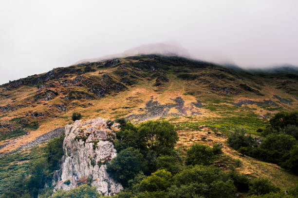 misty hills of llyn gwynant - nant gwynant imagens e fotografias de stock