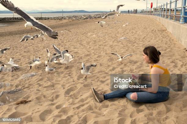 Young Woman Eating Chips On The Beach With Scavenging Seagulls Around Her Stock Photo - Download Image Now
