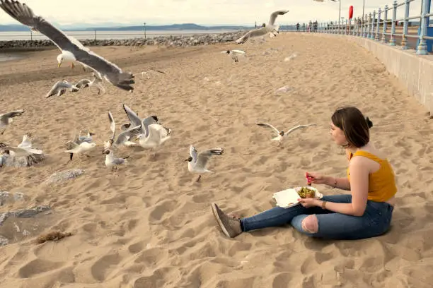 Photo of Young Woman eating chips on the beach with scavenging Seagulls around her.