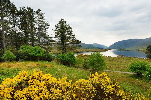 Beautiful landscape of Glenveagh National Park, the second largest national park in Ireland, County Donegal, Ireland