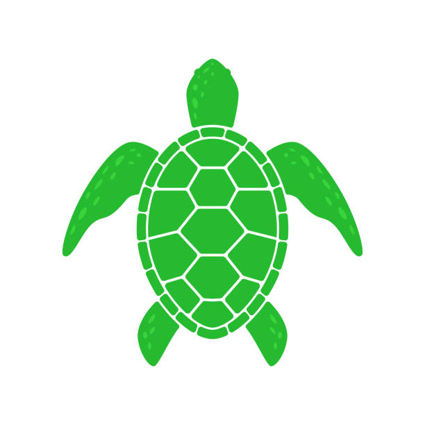6,934 Turtle Shell Illustrations & Clip Art - iStock | Turtle shell pattern, Sea turtle shell, Turtle shell vector 6,934 Turtle Shell Illustrations & Clip Art - iStock | Turtle shell pattern, Sea turtle shell, Turtle shell vector