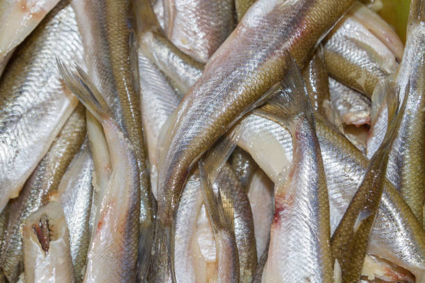 istock Raw brushed smelt fish lies on the plate 1014933274