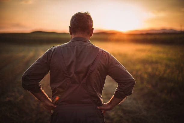 istock Farmer in field . Freedom 1014933354