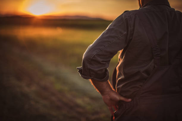 istock Farmer in field . Freedom 1014933406