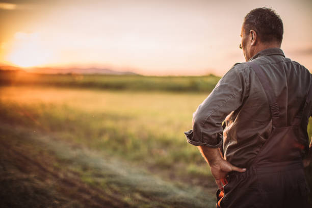 istock Farmer in field . Freedom 1014933408