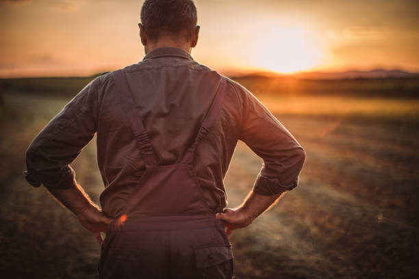 istock Farmer in field . Freedom 1014933590