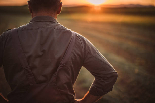 istock Farmer in field . Freedom 1014933600
