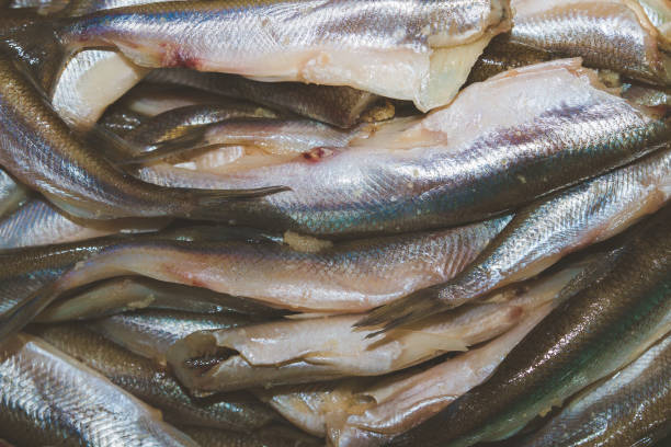 istock Raw brushed smelt fish lies on the plate 1014939318