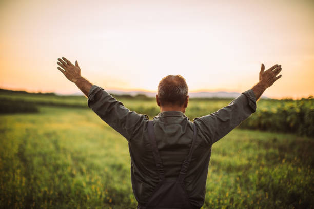 istock Farmer man standing with arms raised on green field 1014939588
