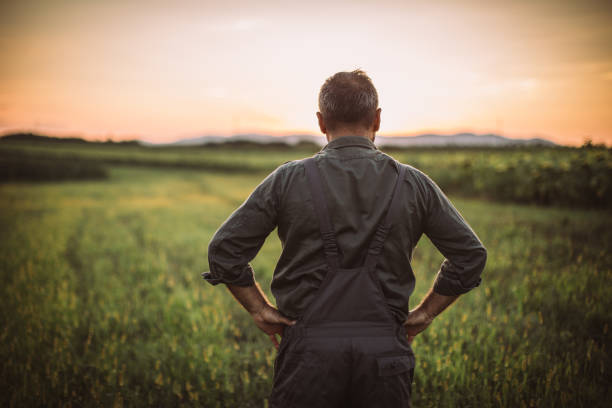 istock Thoughtful Senior Male Farmer 1014939592