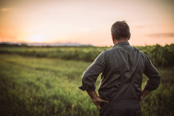 istock Thoughtful Senior Male Farmer 1014939642