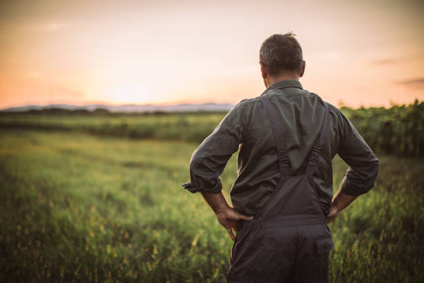 istock Thoughtful Senior Male Farmer 1014939672