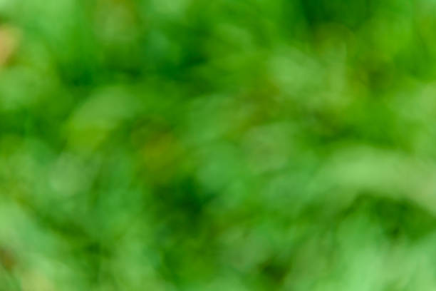 istock Natural and abstract blurred green background. Eco concept 1014943226