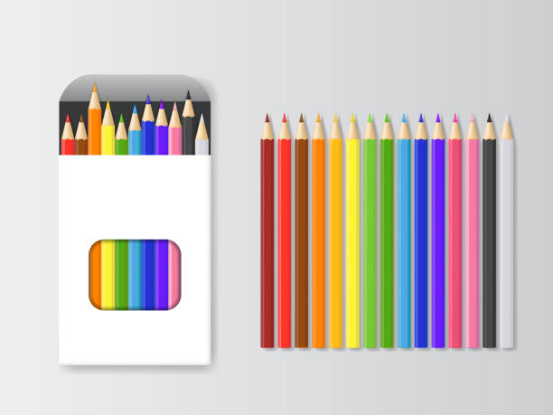 illustrations, cliparts, dessins animés et icônes de la valeur réaliste détaillée 3d boîte de crayons de couleur et crayon. vector - cartonette illustrations