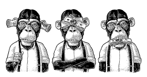 Three wise monkeys with money on ears, eyes, mouth. Not see, not hear, not speak. Vintage black engraving illustration for poster, web, t-shirt, tattoo. Isolated on white background
