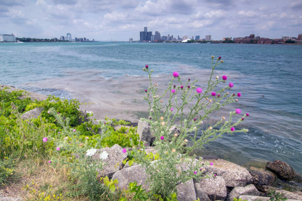 istock Detroit city skyline, US 1014951514