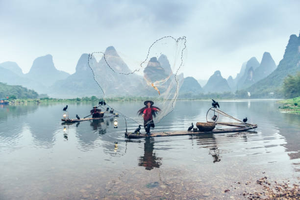 istock chinese cormorant fishermen throwing net on lee river 1014968788