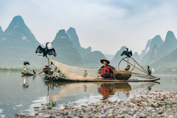 istock chinese cormorant fisherman on bamboo raft 1014969036
