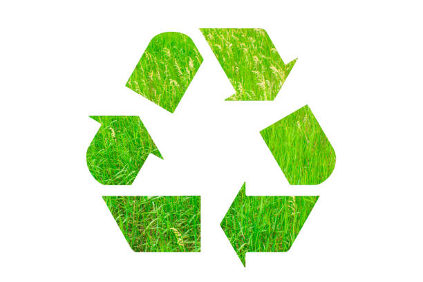 istock Recycle sign logo made of green grass isolated on white background. Eco concept. Problems of ecology and pollution 1014973876