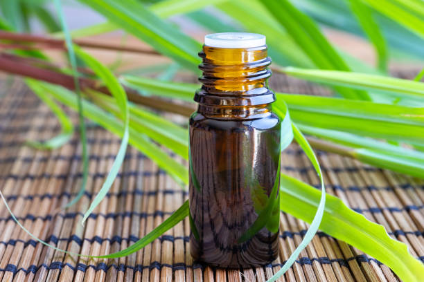 istock A bottle of lemon grass essential oil with fresh lemon grass 1014974588