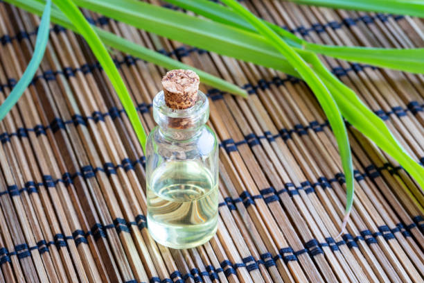 istock A bottle of lemon grass essential oil with fresh lemon grass 1014974600